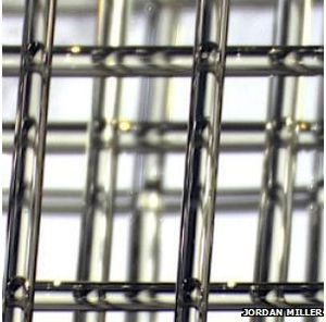 Anordnung im Labor: Versorgung des Gewebes wichtig (Foto: Jordan Miller)