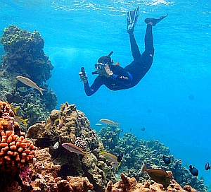 Korallenriff: Rettung der Unterwasserparadiese noch möglich (Foto: Flickr/USFWS)