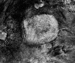 Fingerabdruck: Fluch der Smartphone-User (Foto: pixelio.de, A. Bachert)