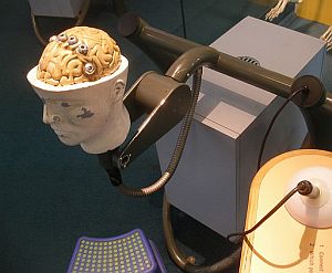 Gehirn: Formen des elektrischen Dopings untersucht (Foto: Flickr/Sandberg)