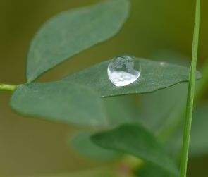 Wasserabweisend: selbstheilende Beschichtung (Foto: pixelio.de, Cornerstone) Wasserabweisend: selbstheilende Beschichtung (Foto: pixelio.de, Cornerstone)