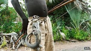 Hazda-Volk: Im Stoffwechsel kein Unterschied zum modernen Menschen (Foto: SPL)