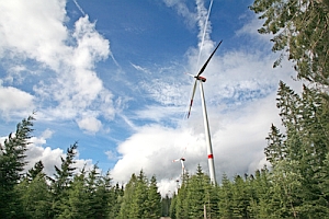 Erneuerbare Energien: Umwelt weiterhin Jobmotor (Foto: pixelio.de/Sturm)