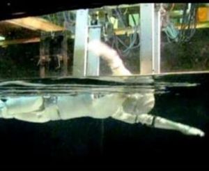 Swumanoid: soll in Zukunft Menschen retten (Foto: Tokyo Institute of Technology)