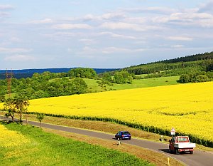 Rapsfeld: EU übertreibt CO2-Einsparung, sagen Forscher (Foto: pixelio.de/Rempt)