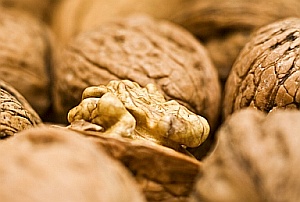 Walnuss: Ungesättigte Fette machen Spermien fitter (Foto: pixelio.de/Segovax)