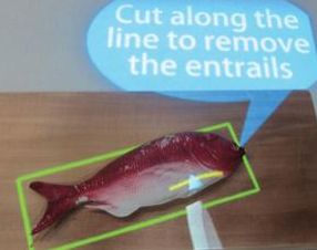 Kochrezept der Zukunft: sprechender Fisch (Foto: Kyoto Sangyo University)