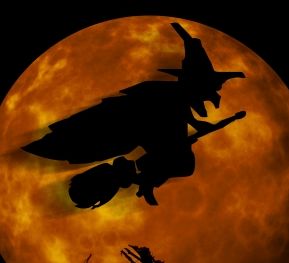 Hexe: bei eBay nicht mehr willkommen (Foto: pixelio.de, Gerd Altmann)