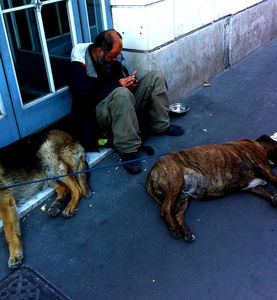 Obdachsloser: Studie über Mediennutzung veröffentlicht (Foto: flickr.com/pazca)