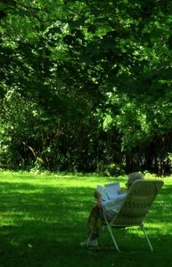 Rentnerin im Park: Alter sollte genossen werden (Foto: pixelio.de, Rheindahlen) Rentnerin im Park: Alter sollte genossen werden (Foto: pixelio.de, Rheindahlen)