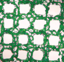 Nanostrukturen: bei Druckverfahren von Vorteil (Foto: bo.ismn.cnr.it)