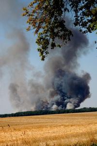 Waldbrand: schneller Einsatz reduziert Folgen (Foto: pixelio.de, Windrose)