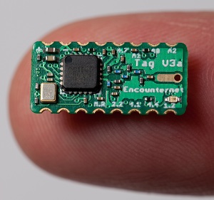 Kleiner Chip: erkundet soziale Netze bei Tieren (Foto: washington.edu)