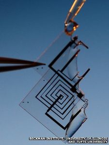 Silikon-Bauteil: Hightech löset sich einfach auf (Foto: beckman.illinois.edu)