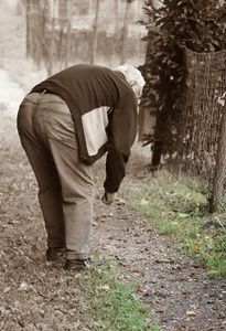 Aktiver Rentner: Bewegung wirkt präventiv (Foto: pixelio.de, Angelika S.)