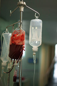 Bluttransfusion: verjüngende Wirkung bei Mäusen (Foto: flickr.com/@alviseni)