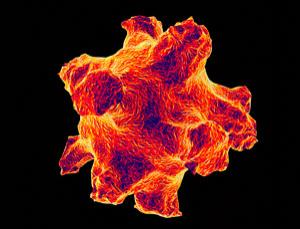 Grippevirus: Gefährlicher als bisher angenommen (Foto: SPL) Grippevirus: Gefährlicher als bisher angenommen (Foto: SPL)