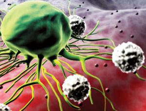 Krebs: Neue Ansätze sollen helfen (Foto: SPL) Krebs: Neue Ansätze sollen helfen (Foto: SPL)