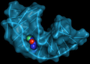 Passgenau umschließt der Aptamer das Zielmolekül (Bild: Fdardel)
