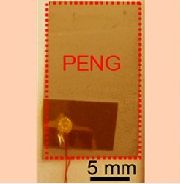 PENG: gewinnt Energie aus Umgebung (Foto: American Chemical Society) PENG: gewinnt Energie aus Umgebung (Foto: American Chemical Society)