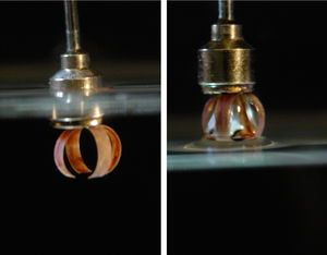 Klebeband-Greifer: fängt einfach Wassertropfen (Foto: M. Ochoa, Purdue)