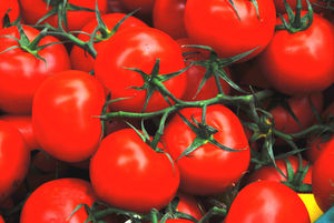 Tomaten: Gemüse kann Depression verhindern (Foto: pixelio.de, H.D.Volz)