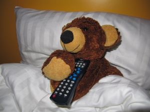 Teddy: TV im Schlafzimmer begünstigt Übergewicht (Foto: pixelio.de, nimkenja)
