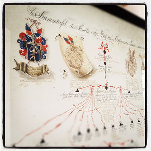 Stammbaum: kann im Internet erstellt werden (Foto: flickr.com/barockschloss) Stammbaum: kann im Internet erstellt werden (Foto: flickr.com/barockschloss)