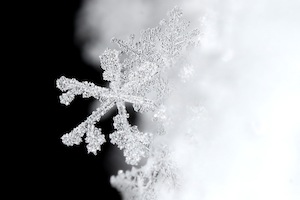 Einzigartig: Keine Schneeflocke gleicht der anderen (Foto: flickr.com/AMagill) Einzigartig: Keine Schneeflocke gleicht der anderen (Foto: flickr.com/AMagill)