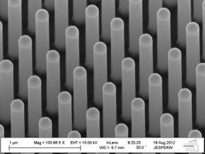 Nanodrähte: Wald unter dem Mikroskop (Foto: Wallentin et al.)