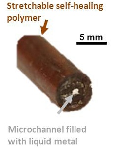 Kabel im Querschnitt: So funktioniert die Erfindung (Foto: NC State)