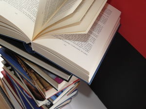 Bücher: Lernmethoden werden sich ändern (Foto: pixelio.de, Lupo)