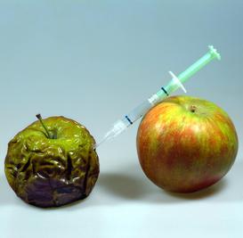 Botox: Wegspritzen von Falten auf dem Prüfstand (Foto: pixelio.de, Aka)