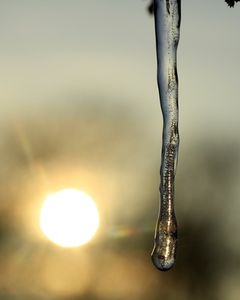 Sonne: ist in der richtigen Dosis gesund (Foto: pixelio.de, uschi dreiucker)