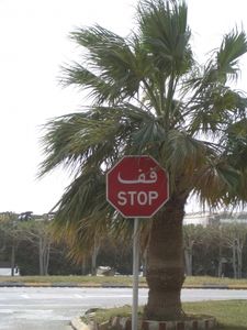 Stopp: deutsche Technologie in Bahrain im Einsatz? (Foto: pixelio.de/tokamuwi)