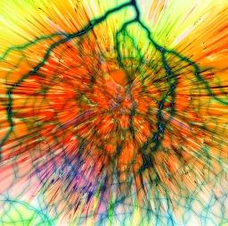 Animierter Blick ins Gehirn: Neuronen leben länger (Foto: pixelio.de, Altmann)