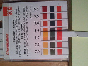 Teststeifen: Auswertung mithilfe von Handy-App (Foto: flickr.com/pppspics)