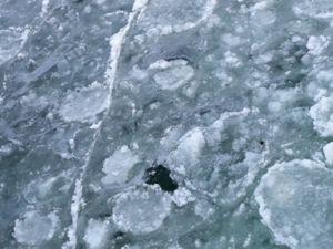 Eis: Kälte erhält Daten länger am Chip (Foto: pixelio.de, Stihl024)