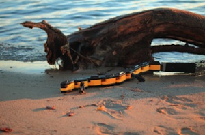 Amphibie: der 'Salamandra robotoca II Amphibie: der 'Salamandra robotoca II