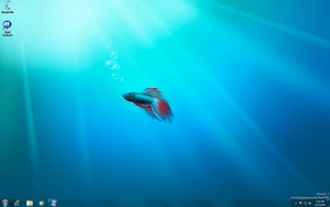 Desktop: Bislang sind nur Windows-7-PCs infiziert (Foto: flickr.com/rutlo) Desktop: Bislang sind nur Windows-7-PCs infiziert (Foto: flickr.com/rutlo)