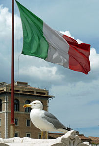 Flagge mit Vogel: Italien will Innovationen forcieren (Foto: pixelio.de, Damm) Flagge mit Vogel: Italien will Innovationen forcieren (Foto: pixelio.de, Damm)