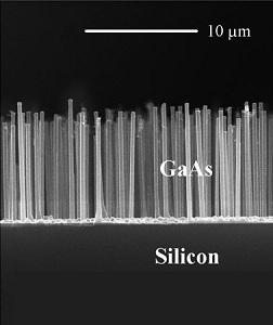 Nanodrähte: sorgen selbst für viel Licht (Foto: nbi.ku.dk)