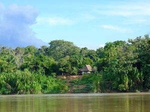 Amazonas: das Bewusstsein für den Regenwald steigt (Foto: pixelio.de/rebel)