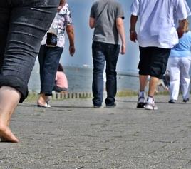 Volkskrankheit Fettsucht: Chip soll Appetit zügeln (Foto: pixelio.de, neroli) Volkskrankheit Fettsucht: Chip soll Appetit zügeln (Foto: pixelio.de, neroli)