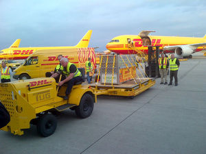 Luftpost: in Moskau stapeln sich die Pakete (Foto: dp-dhl.com)