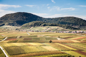 Landwirtschaft: wird in El Salvador unterstützt (Foto: pixelio.de/Sara Hegewald)