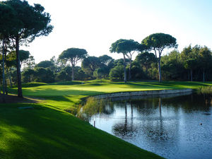 Idyllischer Park: gut für das Glücksempfinden (Foto: pixelio.de, Rainer Sturm) Idyllischer Park: gut für das Glücksempfinden (Foto: pixelio.de, Rainer Sturm)