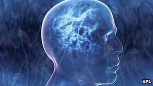 Gehirn: Hightech im Kopf macht epileptische Anfälle vorhersagbar (Foto: SPL)