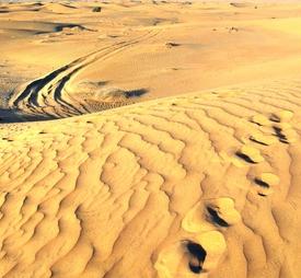 Wüste Sahara: Partikel werden aufgewirbelt (Foto: pixelio.de, M. Hermsdorf)