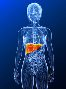 Bei erhöhten Leberwerten an Hepatitis C denken (Sebastian Kaulitzky/fotolia.com)